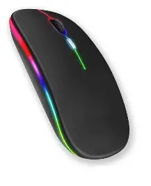 MOUSE